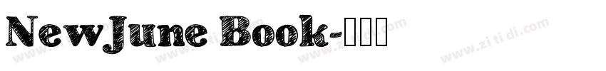 NewJune Book字体转换
